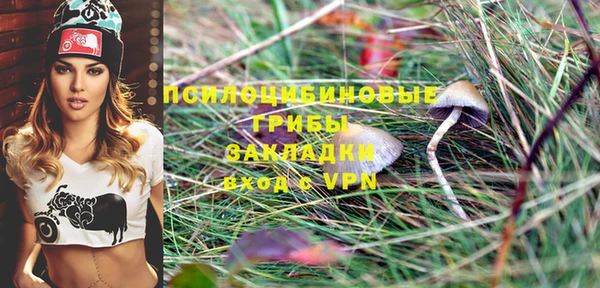 ALPHA PVP Алексин
