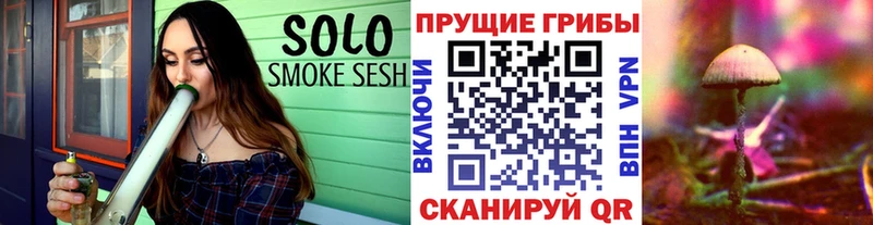 Галлюциногенные грибы мицелий  где найти наркотики  Новоалександровск 