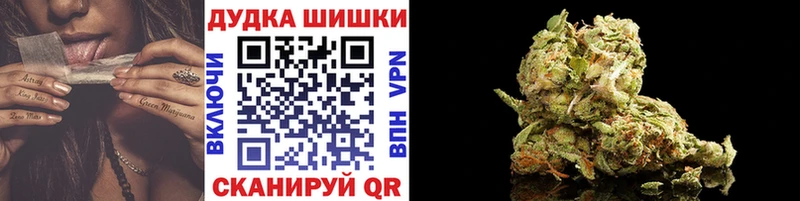 Каннабис план  наркотики  мориарти телеграм  Новоалександровск 